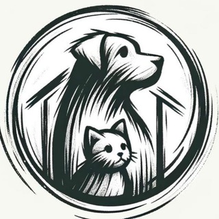 🐶🐱 Пропал/Найден питомец (собака, кошка) (Москва и МО)