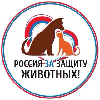 Собачники Сочи, собаки, котики, лапы, потеряшки, поиск, кошки, поиск, приют, животные, ищу дом, в добрые руки, Адлер, Мацеста