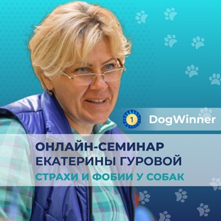 Моя тревожная собака
