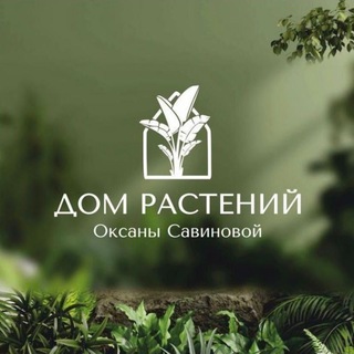 Дом растений Оксаны Савиновой 🪴