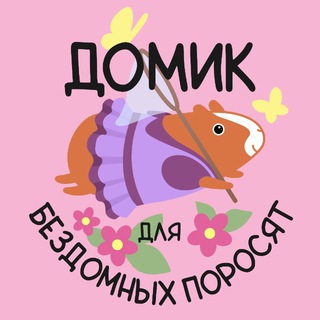 ДОМИК для бездомных поросят