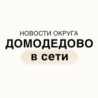 Домодедово в сети