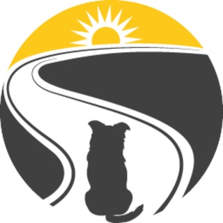Приют "Дорога добра"