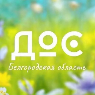 Детский совет 31 регион|ДОС31