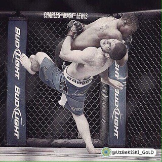 UFC FANATLARI