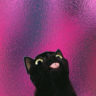 Клуб сомнений