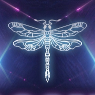 DRAGONFLY FESTIVAL