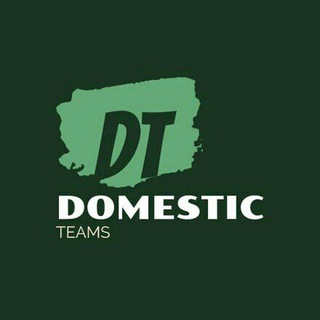 Domestic Teams