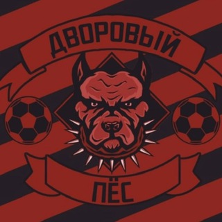ФК «Дворовый Пес»