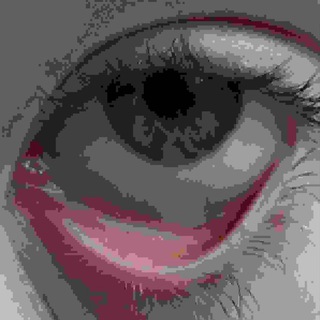 dxl
