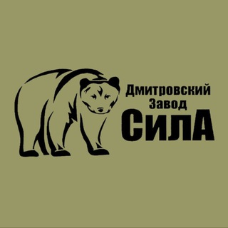 ДЗ СилА