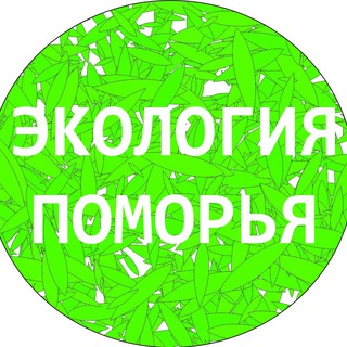 Экология Поморья Chat
