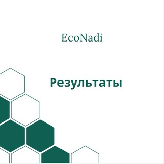 Результаты применения системы оздоровления EcoNadi
