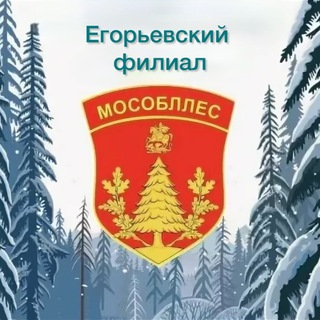 Егорьевское лесничество