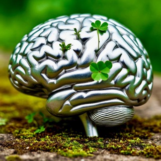 SILVER BRAIN
