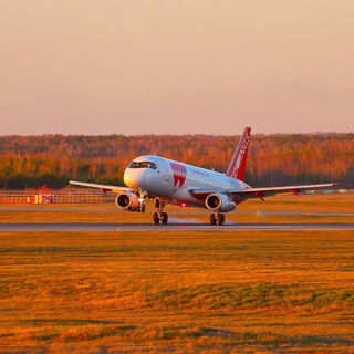 Aviation. Red wings