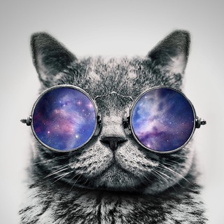 Dubstep | Trap | DnB | Midtempo