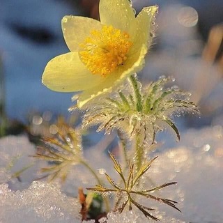 In_the_moment