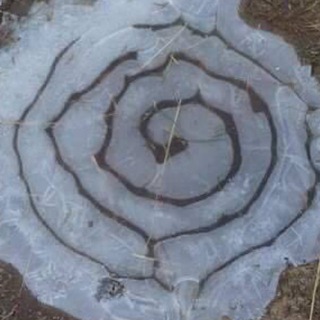 1 1 *