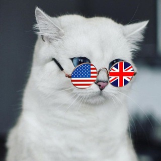 Учим Английский с котами