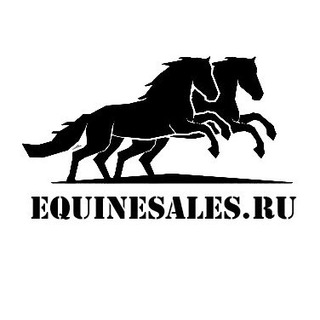 Equinesales.ru продажа лошадей
