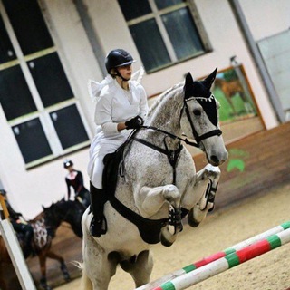 Equus.soll🧩
