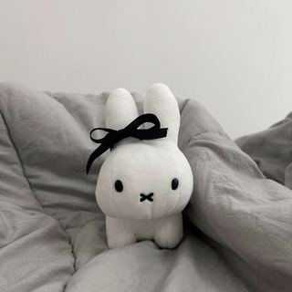 erisdiary ⊹ ࣪ ˖