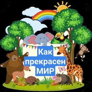 Как прекрасен этот МИР🌺