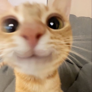 씨발 난 어디야