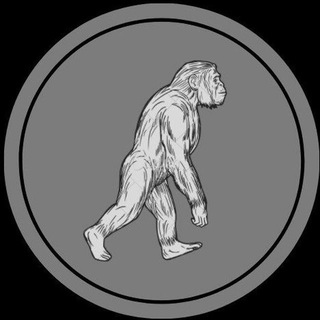 evolution_time