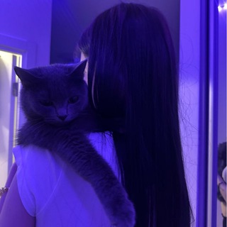 evvissss