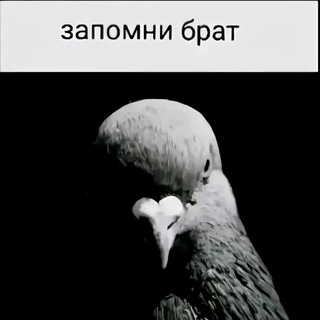 Comendantov