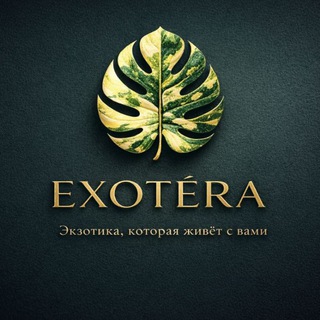 EXOTÉRA 🌿