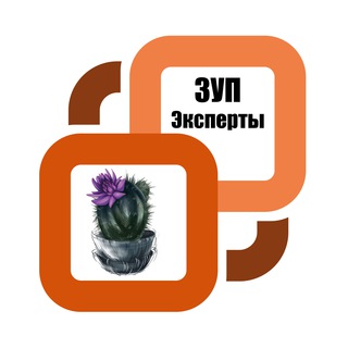 Эксперты зарплаты ЗУП