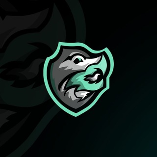 Team Exclusive