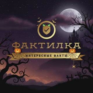 Фактилка