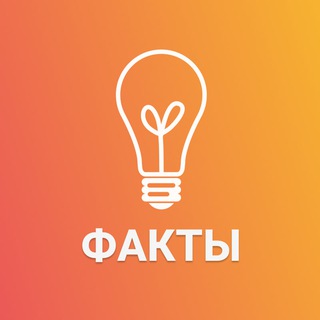Факты — Давай узнаем!