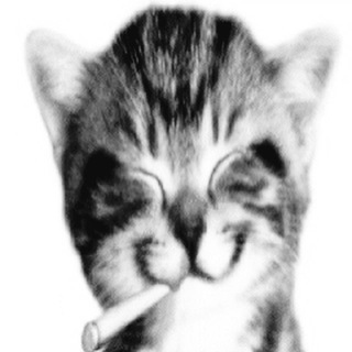 🐾