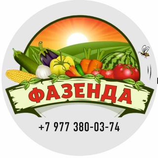ФАЗЕНДА