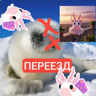 @SeaSlugShop ПЕРЕЕЗД