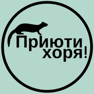 Хорьки | Приюти Хоря! 🐾