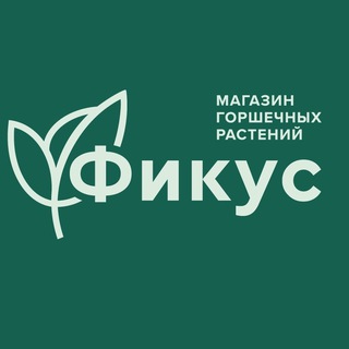 Фикус_Орел