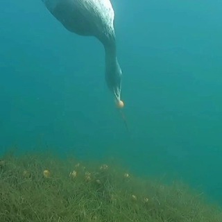 Рыбалка Курск
