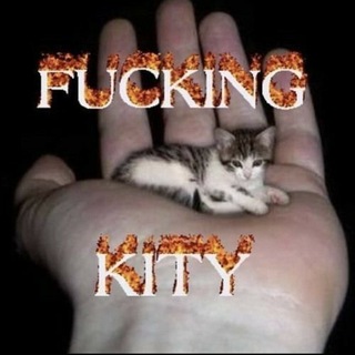 😽fucking kity😼