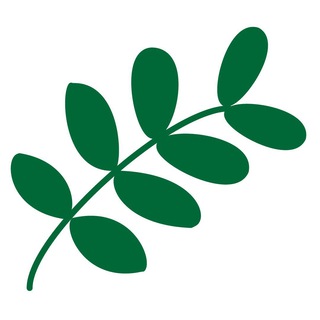 Flora.finance Official [KR]