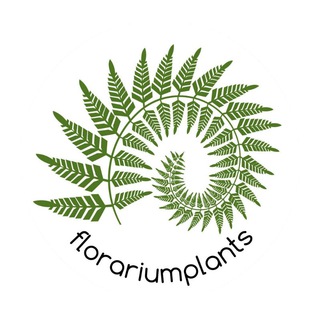 Florariumplants Флорариумплантс