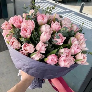 Цветы Сочи