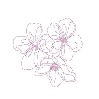 Flowers🪴