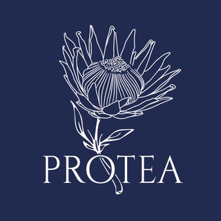 PROTEAMOSCOW