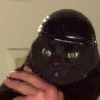 Котямбы